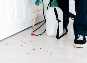 مكافحة الحشرات