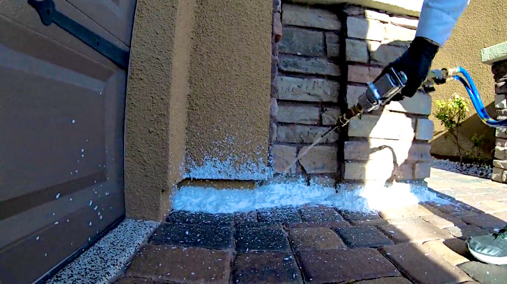 مكافحة العقارب